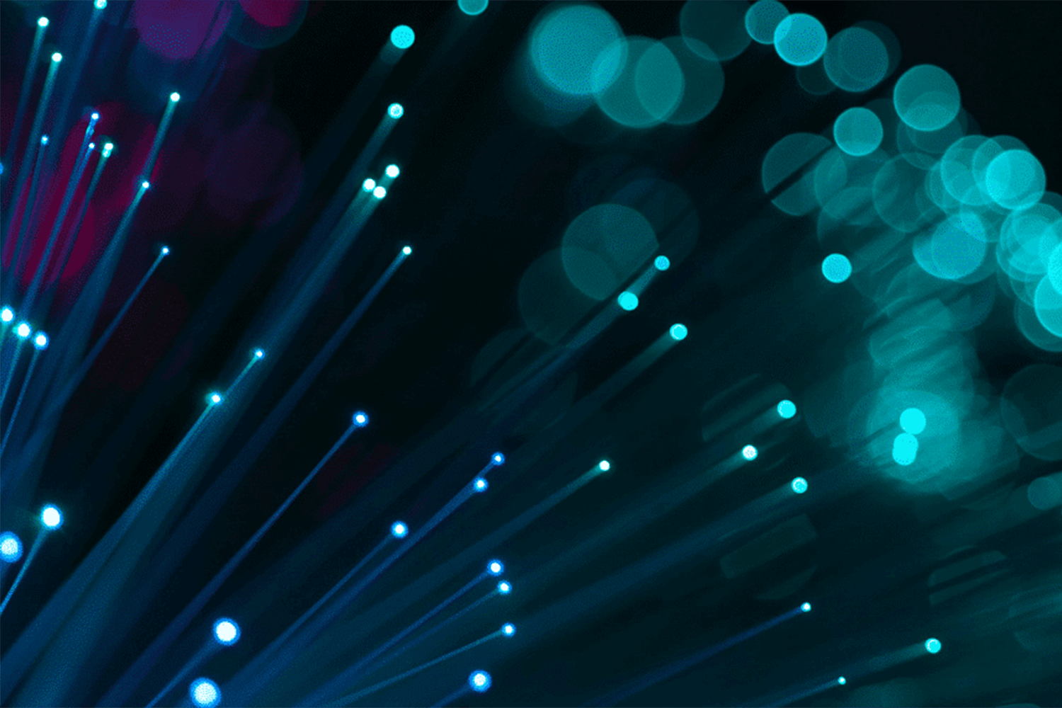 Business Broadband vs. Leased Lines: What’s the Right Choice for You?